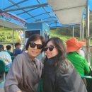 서부역사 (행정전용) | 강원도 영월 여행/ 청령포 장릉 선돌 한반도지형 서부시장 먹거리 (메밀전병·일미닭강정)