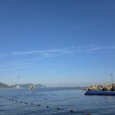 그숲 (부산점) | 부산 송도해수욕장 술집 맛집 그숲 부산점 내돈내산 후기