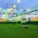 돈워리독 이미지