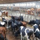 중범농장 이미지