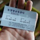 솔솔포도원