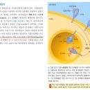 2018 생물A 11번 (서술형) - [세포, 면역] 그람음성균 편모의 구조, 회전 운동, 선천적 면역 이미지