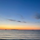 트래블지 이미지