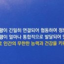 파낙토스통합뇌센터전주센터 네이버블로그