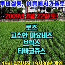 로즈살롱 - 성북구 | 로즈살롱