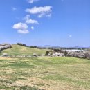 여운목장 이미지