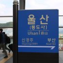 부산상조삼산 | 울산 맛집 :: 분위기에 반했어요!