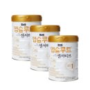 앱솔루트