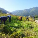 인제군청 이미지