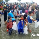 서산낙지 이미지