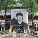TOP종합피아노 | 🖤🩷 원필 솔로 콘서트 'Unpiltered' 중콘 후기 🩷🖤