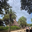 드락 | 바르셀로나 구엘공원 후기 (사진 명소 ·동선 정리)