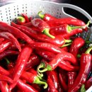 지티농장 이미지