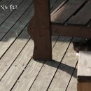 영하펜션 이미지