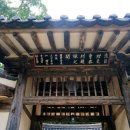 어계인 Daum카페