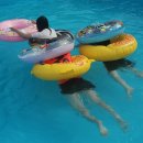 금수산펜션 이미지