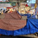 광장73호 이미지