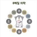 벽산한의원 | [수원/인계] 8체질 진단 &#39;영신 한의원&#39; 체질검사, 침치료 내돈내산 후기