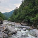 제260차 8월 백암산(신선계곡)트레킹안내 이미지