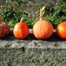 호박한의원 이미지