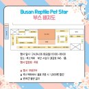 렙타일마켓