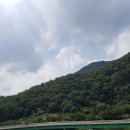 도원패밀리캠핑장 | 강원도 영월 엄둔계곡 도원패밀리캠핑장 아이와 오기 좋은 계곡