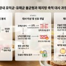 뚱보유통 | 뚱보균 잡는 다이어트 유산균, 매일 먹어도 살이 안 빠졌던 '이것' 때문이었다? 내 돈 내 산 실패 없는...