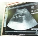 아리따운여성의원 이미지