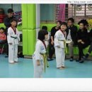 상원 용인대 태권도 이미지