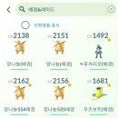 뽑기방GO | Go 투어 : 칼로스 를 마치고, 개인적인 후기 및 감상...