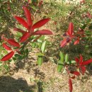 내동공원 이미지