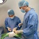 차동물병원 이미지