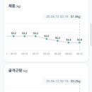 유사나라이프