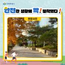 홈플러스 앞 보도 이미지