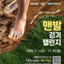 “신발 벗고 걸었을 뿐인데 중독됐다”… 18일 만에 1만 3천명 몰린 웰니스 여행지 이미지