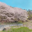 더블루홈공인중개사사무소 이미지