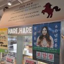 파리바게뜨 대전둔곡하나로 | 내돈내산 | 대전 하레하레 유성점 평일 웨이팅 후기 및 주차 정보 #또간집 #대전빵집