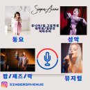 13애비뉴 Daum카페