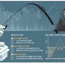 옵션사기 , DLF 사기 기사 이미지