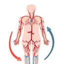 지황한의원 이미지