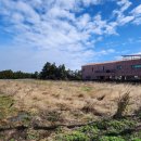 돈키호테공인중개사사무소 이미지