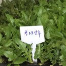 부산에듀팜 이미지