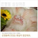 싱싱어촌 이미지