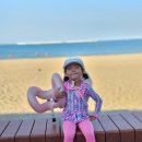 (주)바이더웨이 울산진하점 | 진하해수욕장맛집 :: 숙박하면 석식, 조식 주는 횟집하늘바다펜션