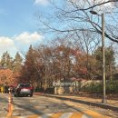 비스타힐 | 비스타 워커힐 서울 호캉스 이용 후기