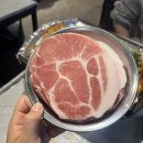 장흥대박협동조합 | [서울] 상암동 고깃집 '장흥집' 냉삼 맛집