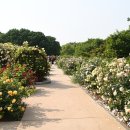 장미원입구 이미지