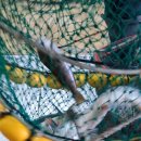 올레펜션 | 국내여행 청산도 1박2일, 바다 바로 보이는 청산도올레펜션 후기