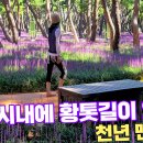 경주한복판
