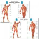 연세으뜸의원 이미지